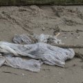 IMG_1187250