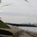 IMG_1187254