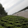 IMG_1187258