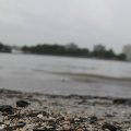 IMG_1187259