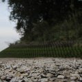 IMG_1187262