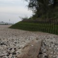 IMG_1187263