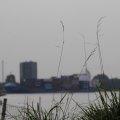 IMG_1187273