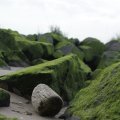 IMG_1187276