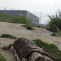IMG_1187277