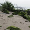 IMG_1187279