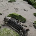IMG_1187280
