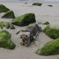IMG_1187283