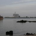 IMG_1187293