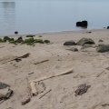 IMG_1187297