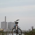 IMG_1187304
