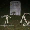 IMG_1190466