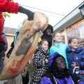 IMG_1192442