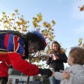 IMG_1192452