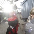 IMG_1192715