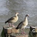 IMG_1194689