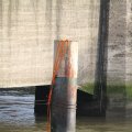 IMG_1194801
