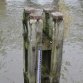 IMG_1195028