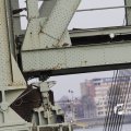 IMG_1195037
