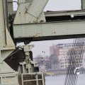 IMG_1195043