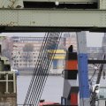 IMG_1195071