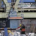 IMG_1195095