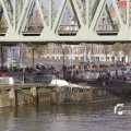 IMG_1195141