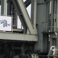IMG_1195185