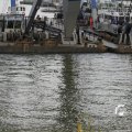 IMG_1195202