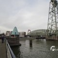 IMG_1195234