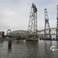 IMG_1195238