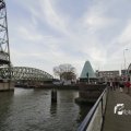 IMG_1195253