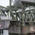 IMG_1195275