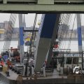 IMG_1195329