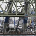 IMG_1195336