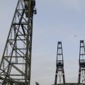 IMG_1195355