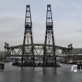 IMG_1195367