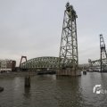 IMG_1195378