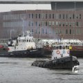 IMG_1195411