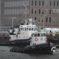 IMG_1195413