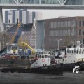 IMG_1195415