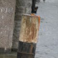IMG_1195421