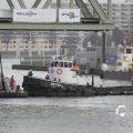 IMG_1195422