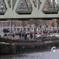 IMG_1195437
