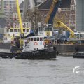 IMG_1195441