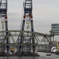 IMG_1195447