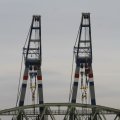 IMG_1195451