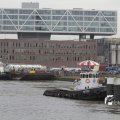 IMG_1195460