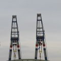 IMG_1195464