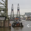 IMG_1195478
